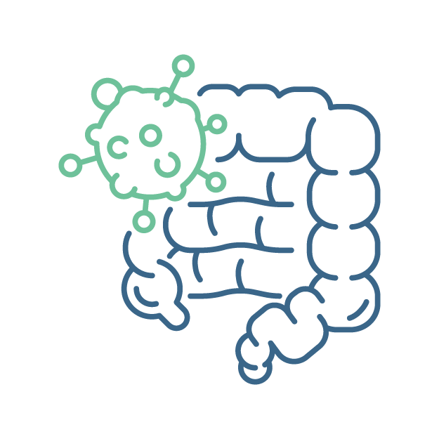 Colorectal Cancer Icon